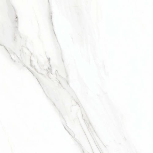 TPOG26005 CALACATTA GOLD POLISHED 600x1200